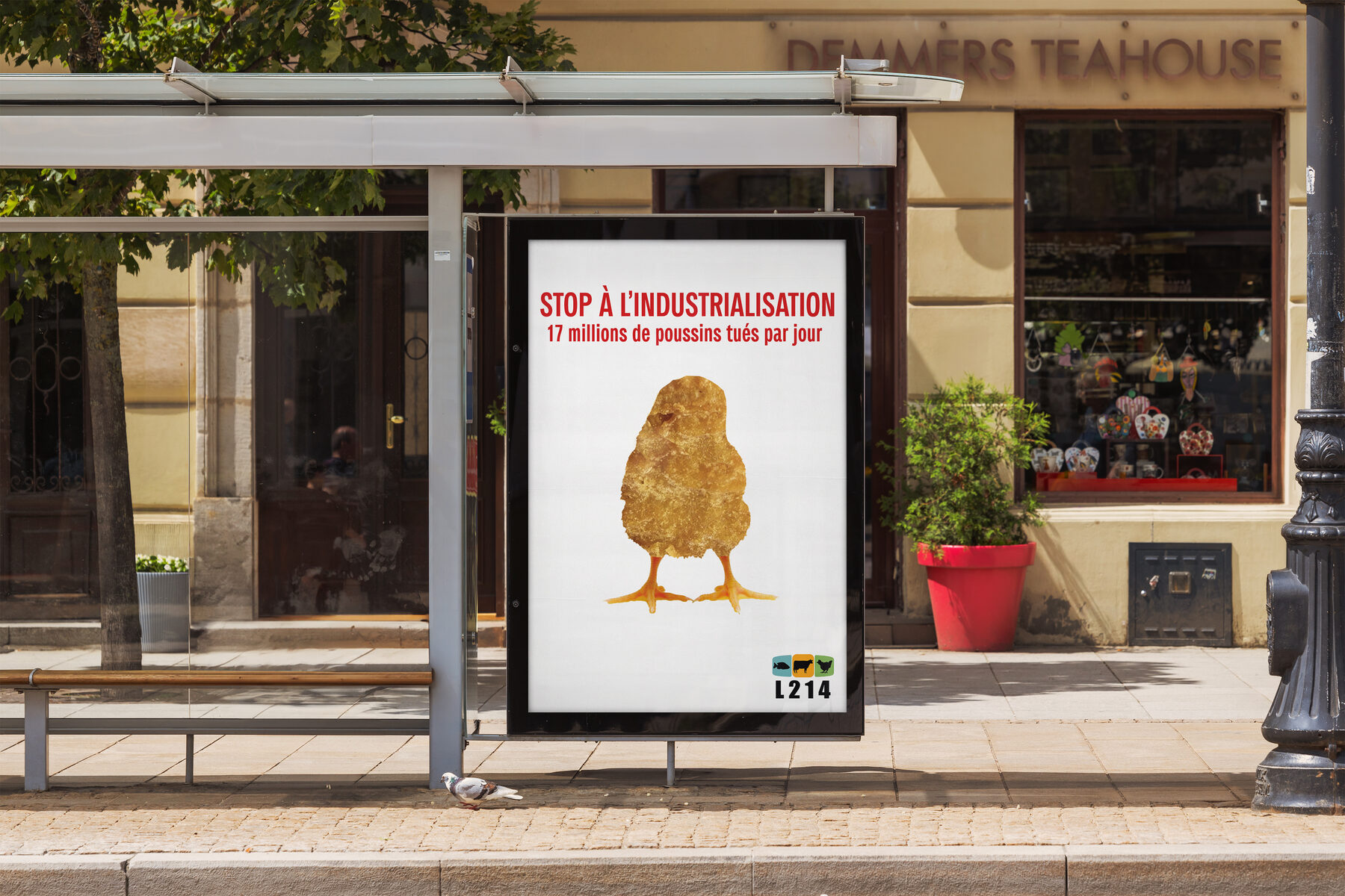Projet Affiche Impactante — visuel 1