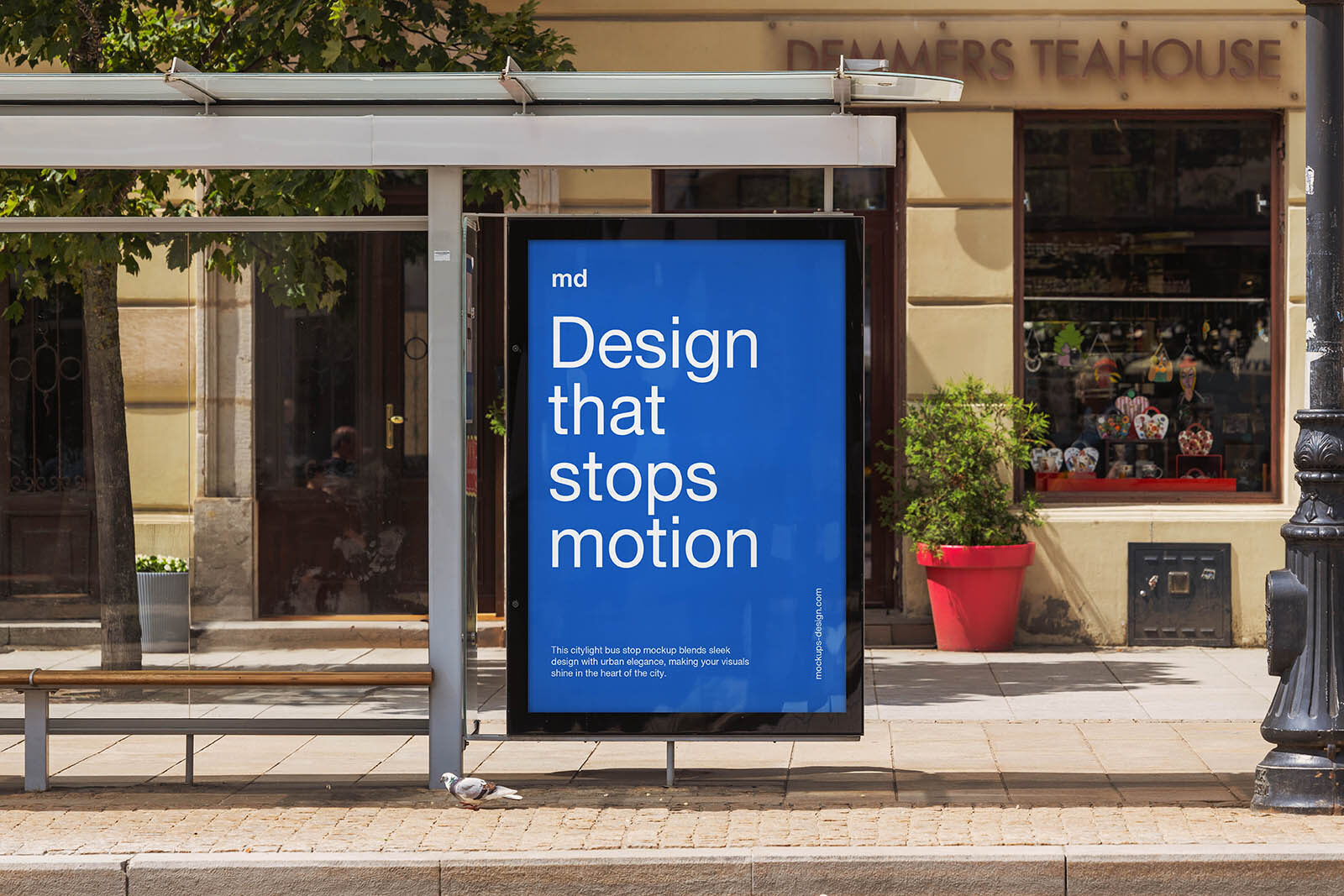 Projet Affiche Impactante — visuel 2