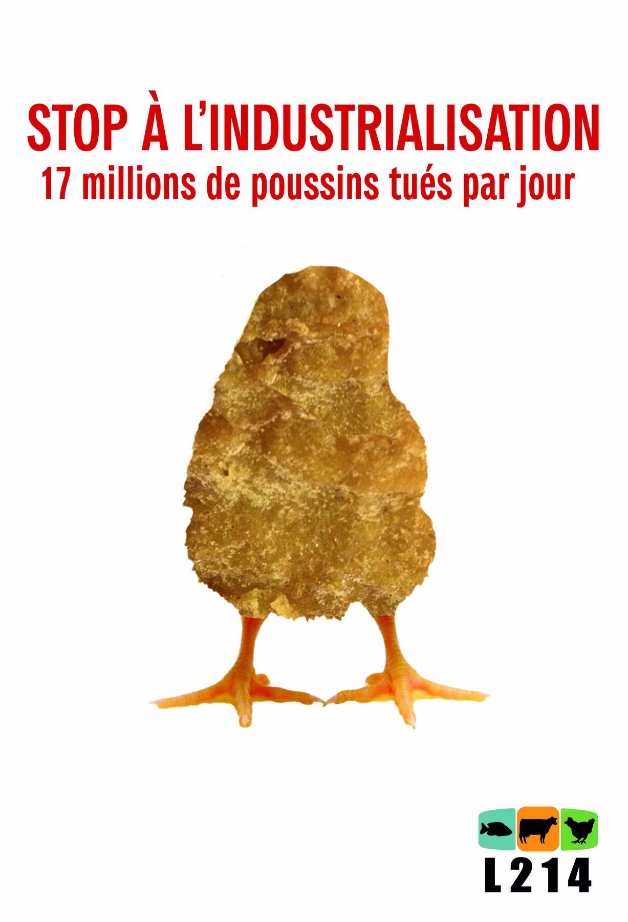 Affiche Impactante — visuel